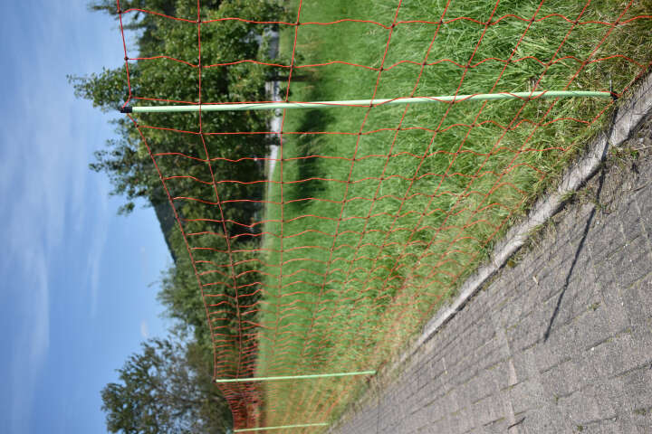 Euro-Netz Wolfsnetz JUMBO 120/2 Wildverbiss